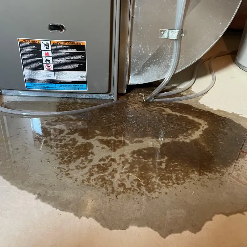 Appliance Leak Cleanup in Hansford County, TX